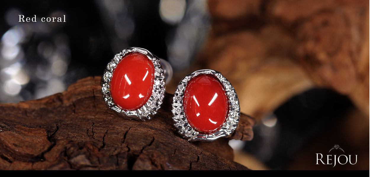 �_�C�������h