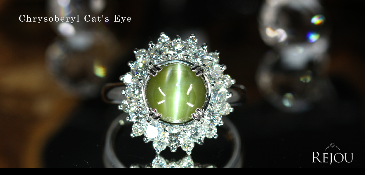 �_�C�������h